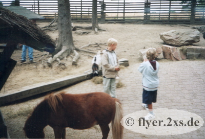 Originalfoto anzeigen